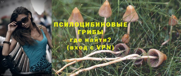 герыч Арсеньев